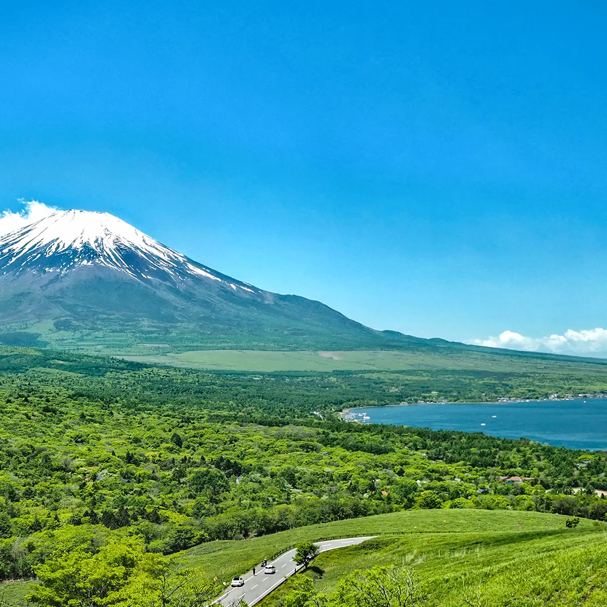 「富士山が見える別荘はどこで買う？4つのエリアから見る『富士山の違い』」の山中湖から見るの富士山の画像